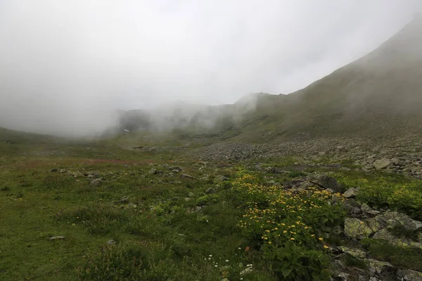 Gito Platosu, Karadeniz 'in en barışçıl faaliyetlerinden biri olarak doğayı seven herkesin hayatında en az bir kez yaşaması gereken bir yerdir..