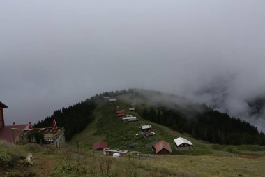 Mencuna şelalesi ve İkiz Taş köprüler / Artvin, Arhavi