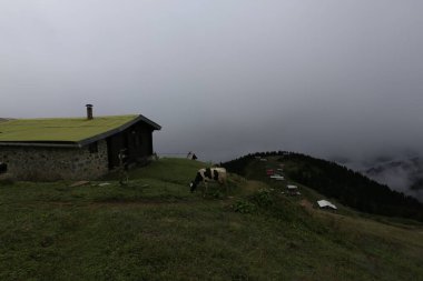 Mencuna şelalesi ve İkiz Taş köprüler / Artvin, Arhavi