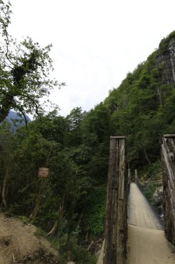 Mencuna şelalesi ve İkiz Taş köprüler / Artvin, Arhavi
