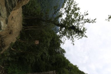 Mencuna şelalesi ve İkiz Taş köprüler / Artvin, Arhavi