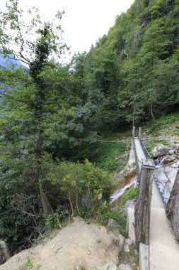 Mencuna şelalesi ve İkiz Taş köprüler / Artvin, Arhavi