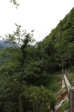 Mencuna şelalesi ve İkiz Taş köprüler / Artvin, Arhavi