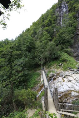 Mencuna şelalesi ve İkiz Taş köprüler / Artvin, Arhavi