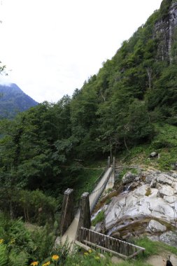 Mencuna şelalesi ve İkiz Taş köprüler / Artvin, Arhavi