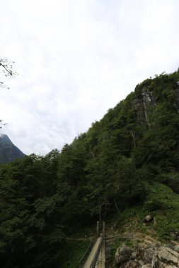 Mencuna şelalesi ve İkiz Taş köprüler / Artvin, Arhavi