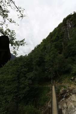 Mencuna şelalesi ve İkiz Taş köprüler / Artvin, Arhavi