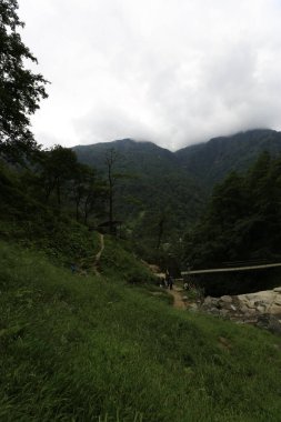 Mencuna şelalesi ve İkiz Taş köprüler / Artvin, Arhavi