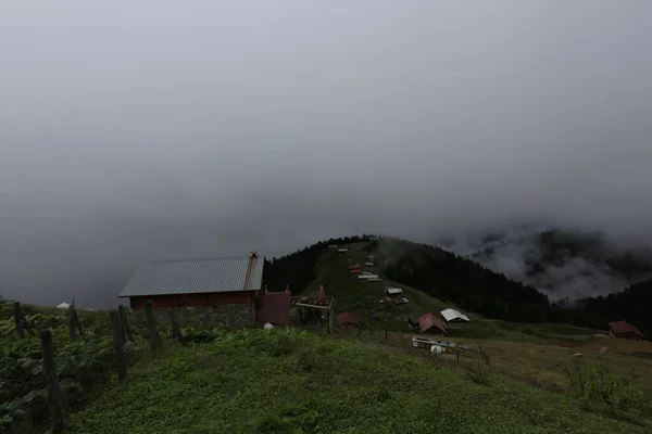 Mencuna Vodopád Twin Kamenné Mosty Artvin Arhavi — Stock fotografie