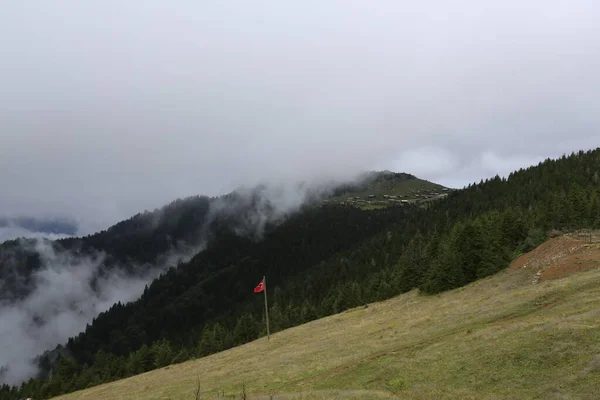 Cascada Mencuna Puentes Piedra Gemela Artvin Arhavi — Foto de Stock