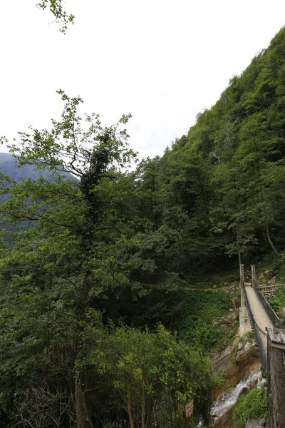 Mencuna şelalesi ve İkiz Taş köprüler / Artvin, Arhavi