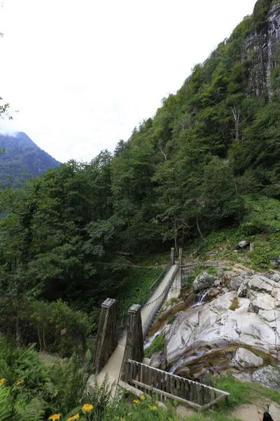 Mencuna şelalesi ve İkiz Taş köprüler / Artvin, Arhavi