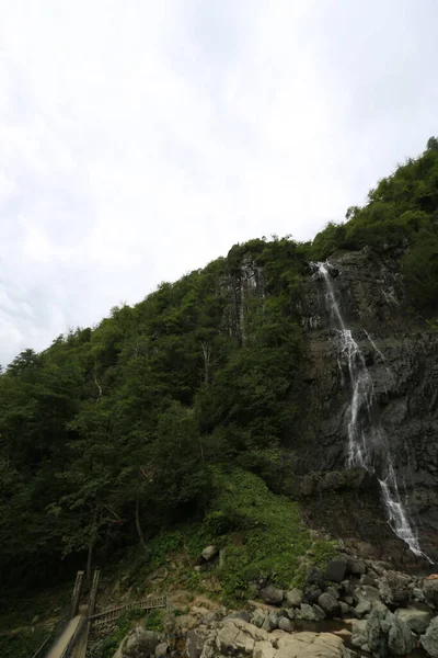 Mencuna Wasserfall Und Zwillingssteinbrücken Artvin Arhavi — Stockfoto