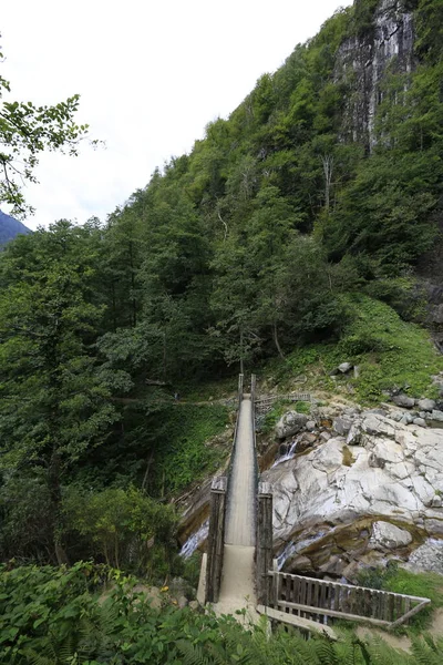 Cascada Mencuna Puentes Piedra Gemela Artvin Arhavi —  Fotos de Stock