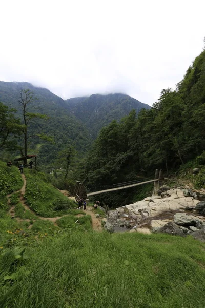 Cascada Mencuna Puentes Piedra Gemela Artvin Arhavi — Foto de Stock