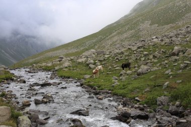 Hazindak Platosu ve Kakar Dağları
