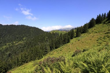 Hazindak Platosu ve Kakar Dağları