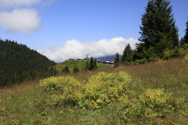 Hazindak Platosu ve Kakar Dağları