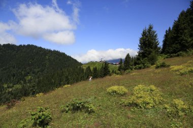 Hazindak Platosu ve Kakar Dağları