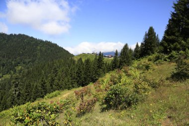 Hazindak Platosu ve Kakar Dağları