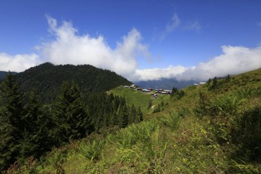 Hazindak Platosu ve Kakar Dağları