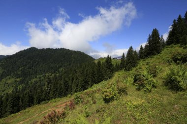 Hazindak Platosu ve Kakar Dağları