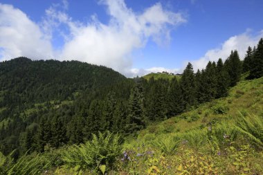 Hazindak Platosu ve Kakar Dağları