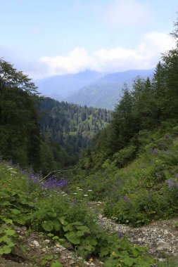 Hazindak Platosu ve Kakar Dağları