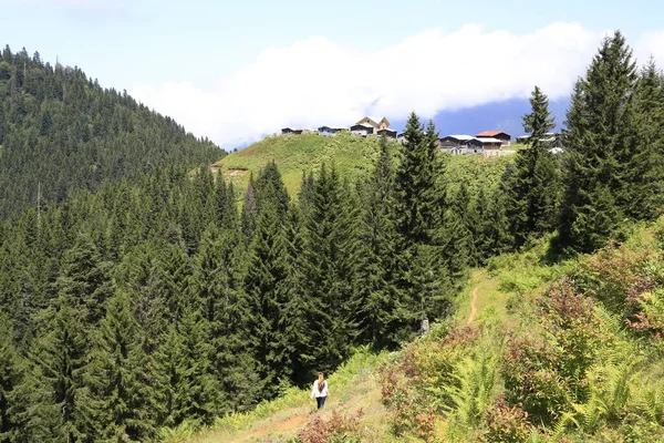 Hazindak Platosu ve Kakar Dağları