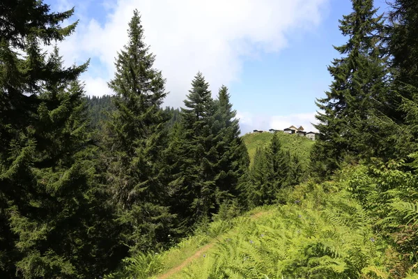 Hazindak高原和Kakar山区 — 图库照片