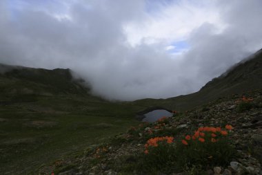Kackar dağları ve dağların eteklerine kurulmuş yaylalar.