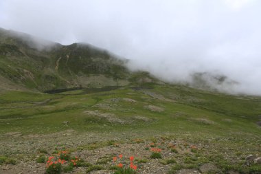 Kackar dağları ve dağların eteklerine kurulmuş yaylalar.