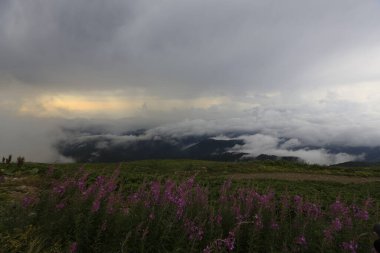Kackar dağları ve dağların eteklerine kurulmuş yaylalar.