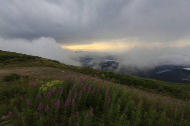 Kackar dağları ve dağların eteklerine kurulmuş yaylalar.