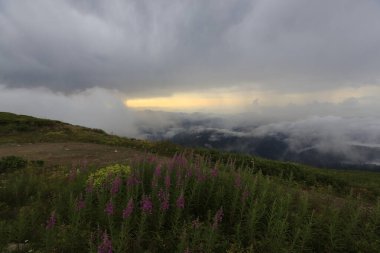 Kackar dağları ve dağların eteklerine kurulmuş yaylalar.