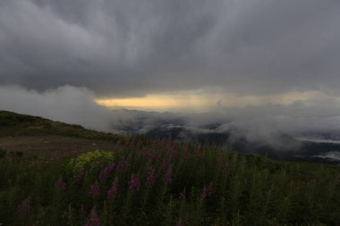 Kackar dağları ve dağların eteklerine kurulmuş yaylalar.
