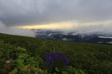 Kackar dağları ve dağların eteklerine kurulmuş yaylalar.