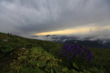 Kackar dağları ve dağların eteklerine kurulmuş yaylalar.