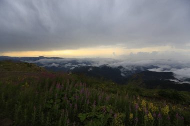 Kackar dağları ve dağların eteklerine kurulmuş yaylalar.