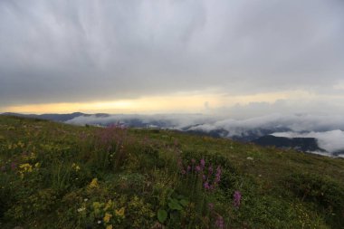 Kackar dağları ve dağların eteklerine kurulmuş yaylalar.