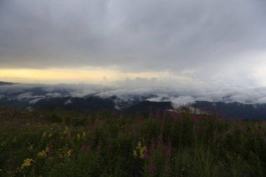 Kackar dağları ve dağların eteklerine kurulmuş yaylalar.
