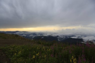 Kackar dağları ve dağların eteklerine kurulmuş yaylalar.