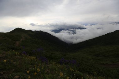 Kackar dağları ve dağların eteklerine kurulmuş yaylalar.