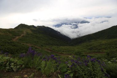 Kackar dağları ve dağların eteklerine kurulmuş yaylalar.