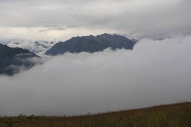 Kackar dağları ve dağların eteklerine kurulmuş yaylalar.