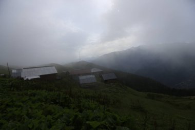 Kackar dağları ve dağların eteklerine kurulmuş yaylalar.