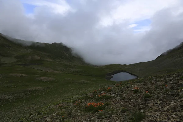 Kackar dağları ve dağların eteklerine kurulmuş yaylalar.