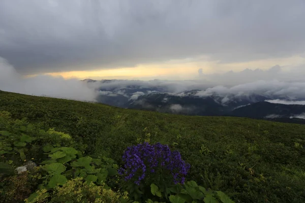 Kackar dağları ve dağların eteklerine kurulmuş yaylalar.