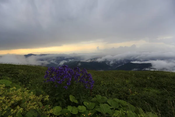 Kackar dağları ve dağların eteklerine kurulmuş yaylalar.