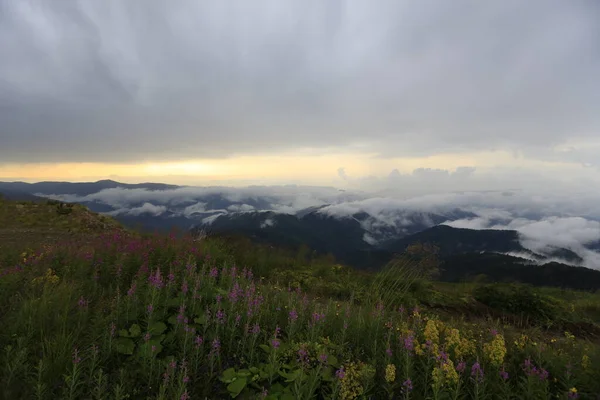 Kackar dağları ve dağların eteklerine kurulmuş yaylalar.